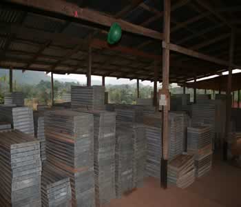 company news image