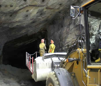 company news image