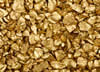company news image
